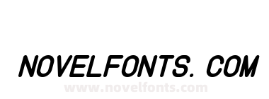 Instruction Bold Italic