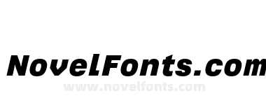 Tuner Black Italic