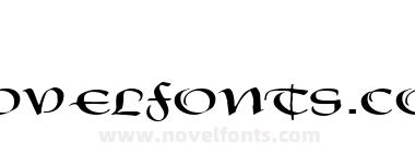 FZ SCRIPT 19 EX