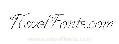 TBF Rough Script