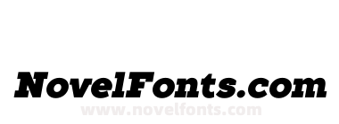 TT Slabs Black Italic