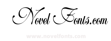 Wedding Script Bail