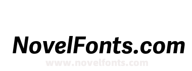 Adelle Sans Bold Italic
