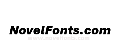 Aptos Black Italic