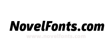 Argumentum Black Italic