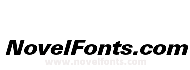 LTUnivers-BasicBlackItalic