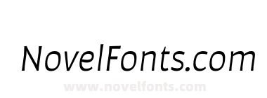 Auster Book Italic