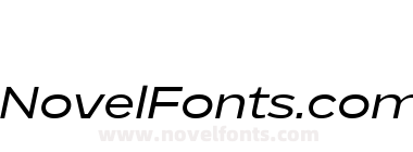 BD Megatoya Extended Medium Italic
