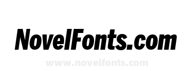 Benton Sans Compressed Black Italic