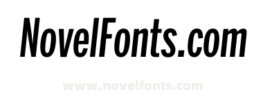 Benton Sans Extra Compressed Medium Italic