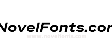 Benton Sans Wide Bold Italic