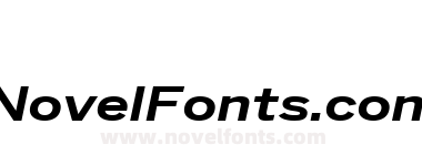 Benton Sans Wide Bold Italic