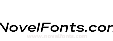 Benton Sans Wide Medium Italic