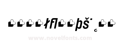 Brauer Neue Bold Italic Expert