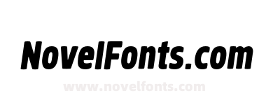 Brilk Black Italic