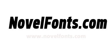 Brilk Sans Extra Black Italic