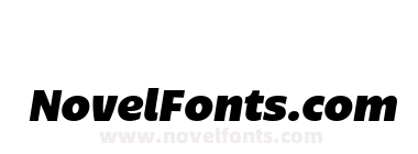 Bruna Black Italic