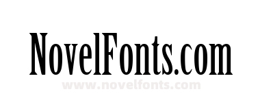 Che Guevara Text Serif