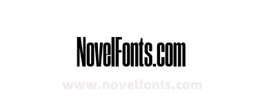 Compilation Grotesk 1050