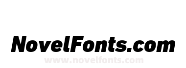 DIN Next W10 Black Italic