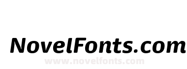 Dancer Pro Black Italic