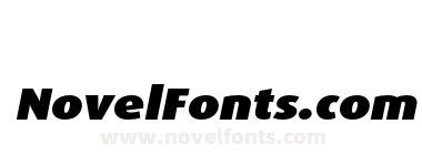 Dax Pro Wide Black Italic