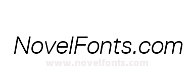 Dell ReplicaTT Light Italic