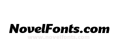 Dez Now Sans Black Italic