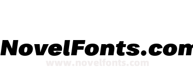 FSP DEMO Bruta Pro Regular Black Italic Regular