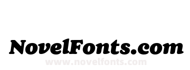 FSP DEMO Cream Black Italic