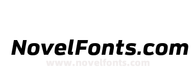 FS Industrie Ex Black Italic