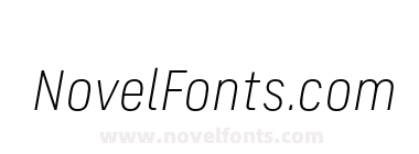 FS Industrie Nw Light Italic