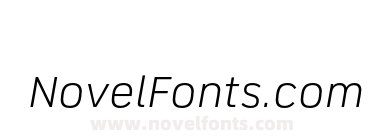 FS Industrie Wd Book Italic
