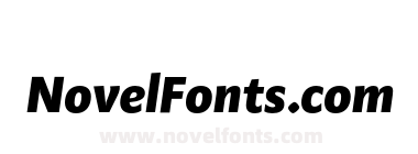 FSP DEMO Adagio_ Sans Black Italic
