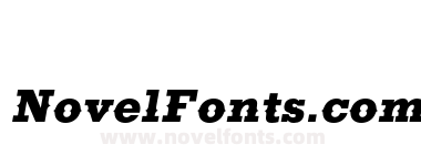 FSP DEMO Ranch Black Italic