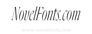 Flecha Bronzea Test L Extra Light Italic