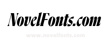 Flecha Bronzea Test M Bold Italic