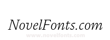Flecha Test S Light Italic
