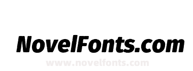 Fuse V.2 Printed Display Black Italic