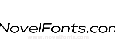 Gamay Wide Book Italic