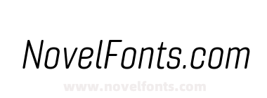 Gineso Soft Norm Book Italic