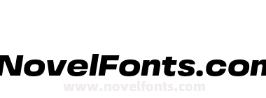 Grandis Extended Black Italic
