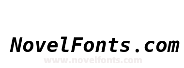 Hack Bold Italic