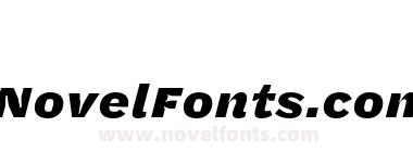 Halyard Micro Black Italic