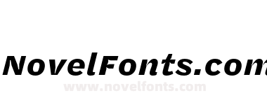 Halyard Micro Bold Italic