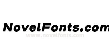 Henderson Sans Basic Black Italic