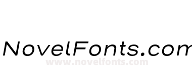 Henderson Sans Basic Regular Italic