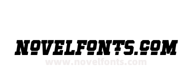 Hockeynight Serif Black Ita