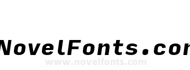 Input Sans Black Italic