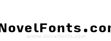Input Sans Black